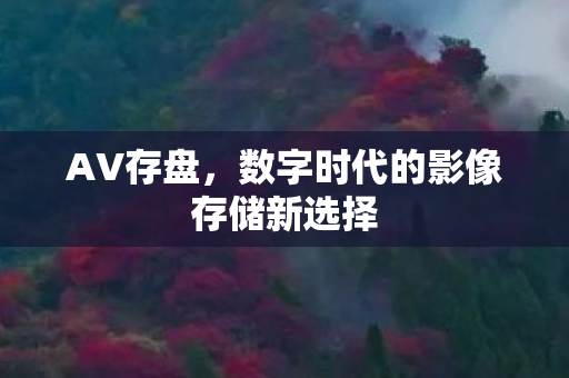 数字时代的影像存储新选择图片