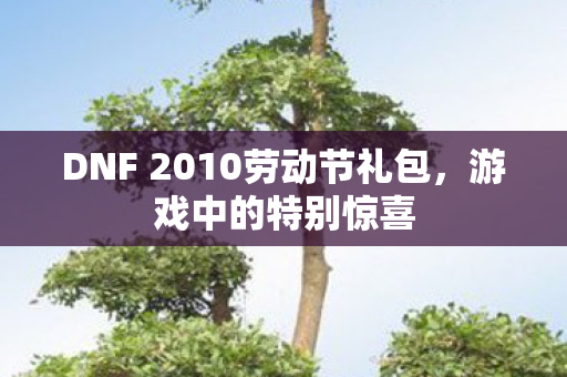 DNF 2010劳动节礼包图片