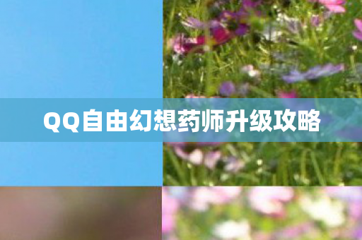 QQ自由幻想药师升级攻略图片