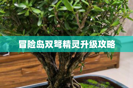 冒险岛双弩精灵升级攻略图片