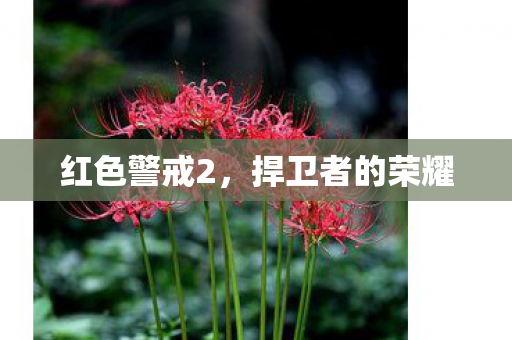 捍卫者的荣耀图片