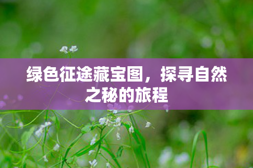 探寻自然之秘的旅程图片