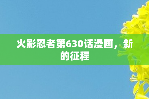 火影忍者第630话漫画图片