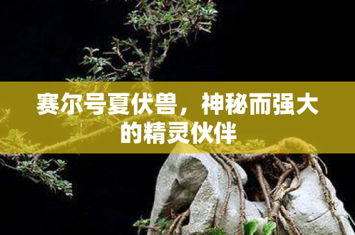神秘而强大的精灵伙伴图片