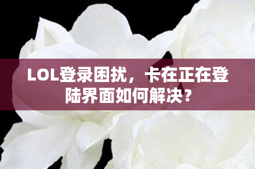 卡在正在登陆界面如何解决图片