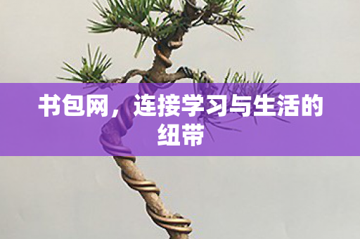 连接学习与生活的纽带图片