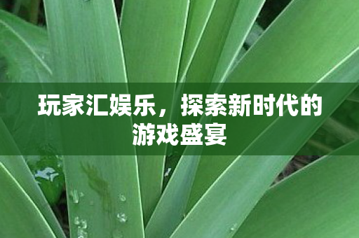 探索新时代的游戏盛宴图片