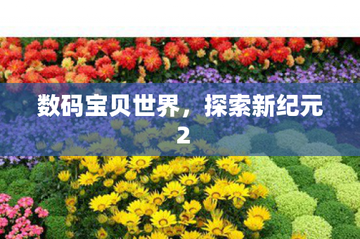 探索新纪元 2图片
