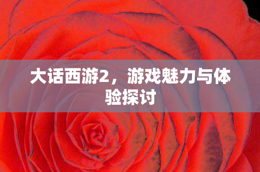 游戏魅力与体验探讨图片