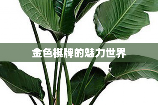 金色棋牌的魅力世界图片