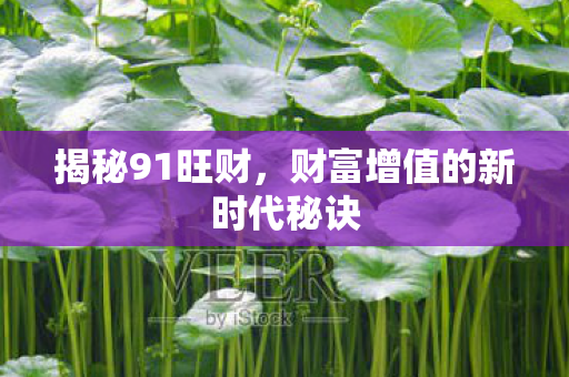 财富增值的新时代秘诀图片