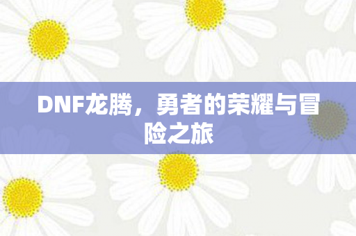 勇者的荣耀与冒险之旅图片
