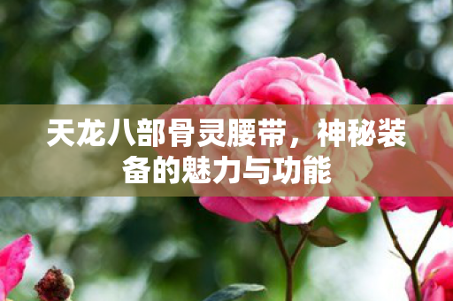 神秘装备的魅力与功能图片
