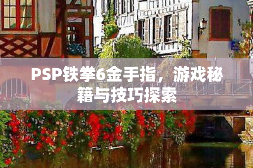 PSP铁拳6金手指图片