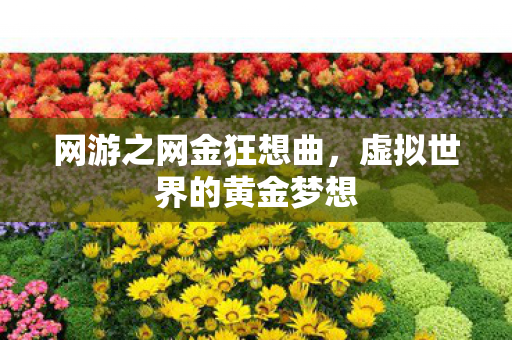 虚拟世界的黄金梦想图片
