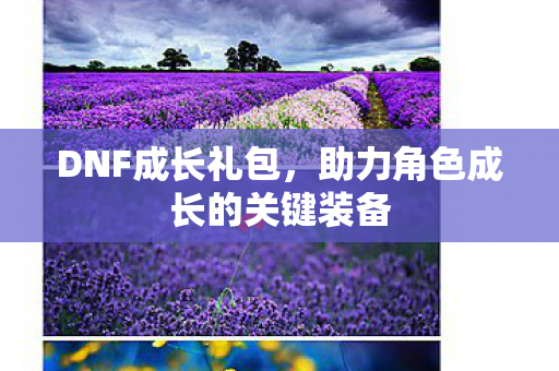 助力角色成长的关键装备图片