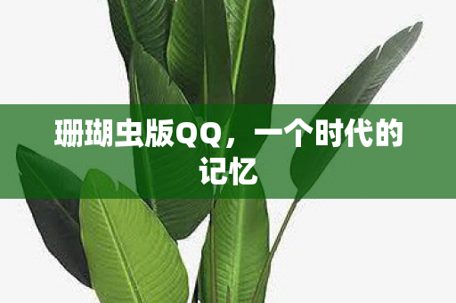一个时代的记忆图片