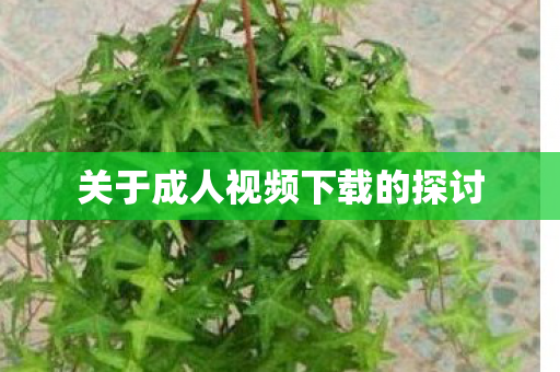 关于成人视频下载的探讨图片