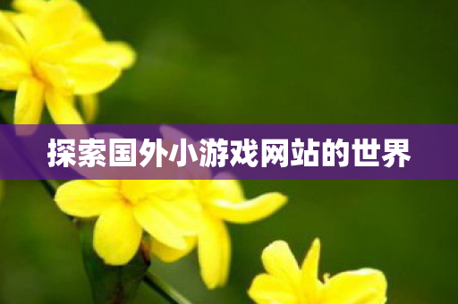 探索国外小游戏网站的世界图片