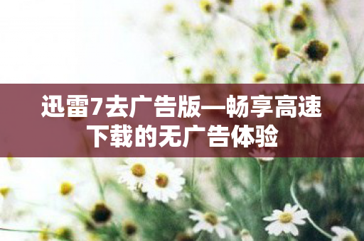 畅享高速下载的无广告体验图片