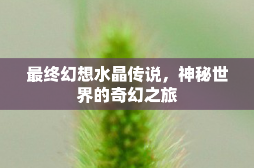 神秘世界的奇幻之旅图片