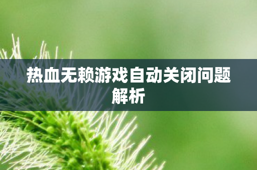 热血无赖游戏自动关闭问题解析图片