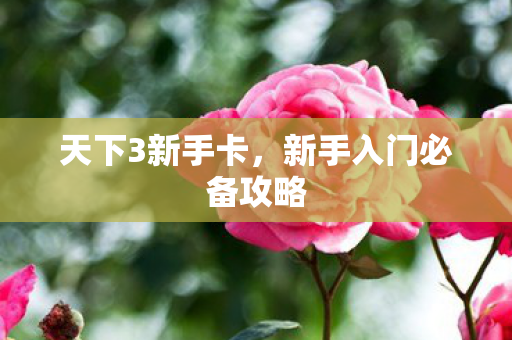 新手入门必备攻略图片