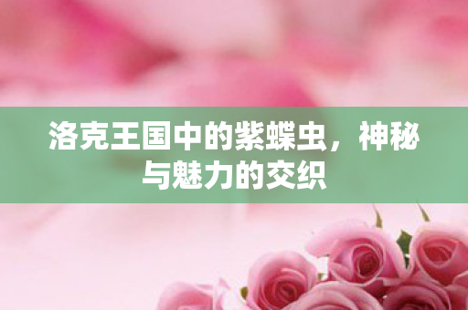 洛克王国中的紫蝶虫图片