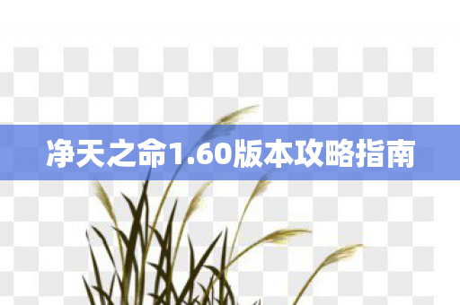 60版本攻略指南图片