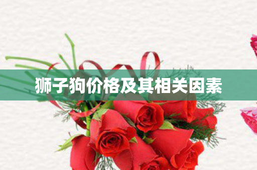 狮子狗价格及其相关因素图片