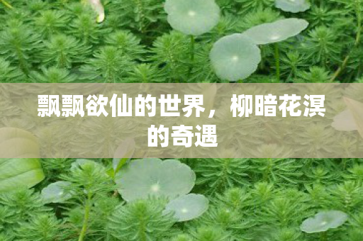 飘飘欲仙的世界图片