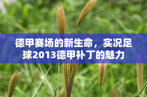 实况足球2013德甲补丁的魅力图片