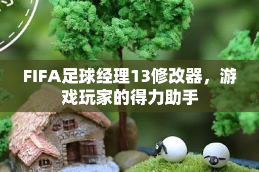 FIFA足球经理13修改器图片