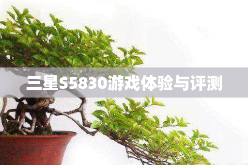 三星S5830游戏体验与评测图片