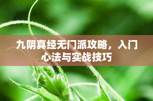 九阴真经无门派攻略图片