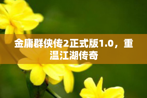 金庸群侠传2正式版1图片