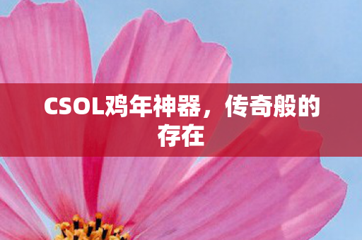 CSOL鸡年神器图片