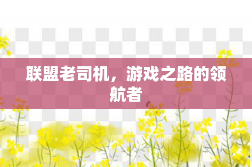 游戏之路的领航者图片
