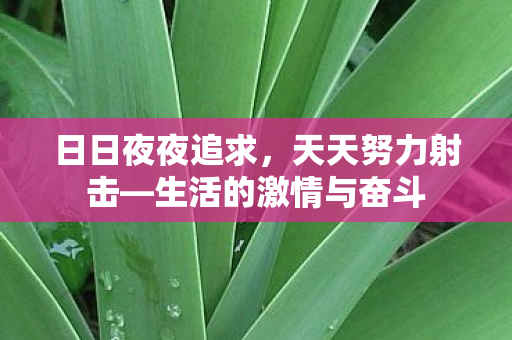 生活的激情与奋斗图片