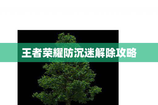 王者荣耀防沉迷解除攻略图片