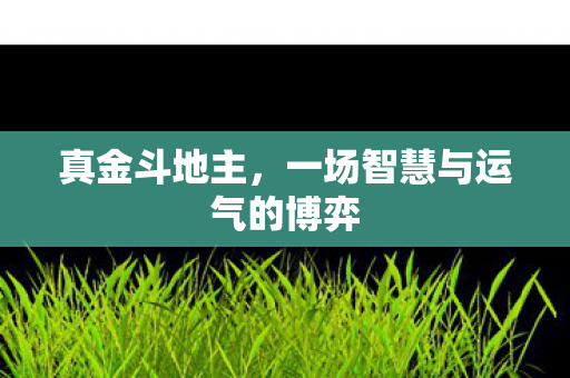 一场智慧与运气的博弈图片
