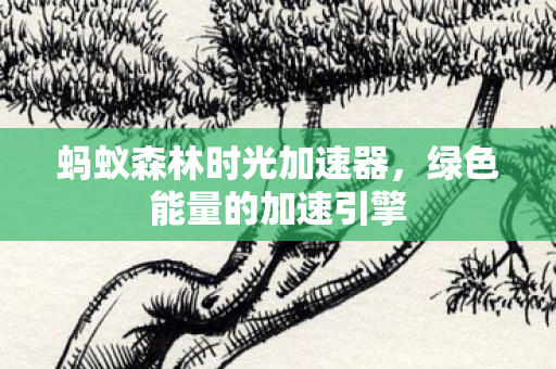蚂蚁森林时光加速器图片