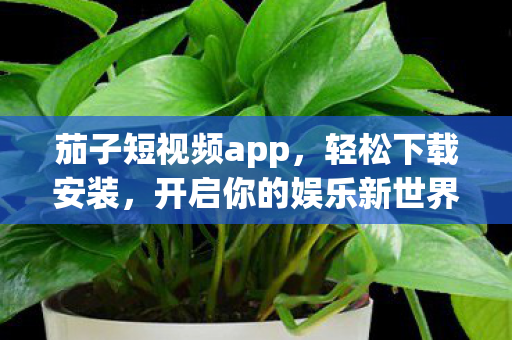 开启你的娱乐新世界图片