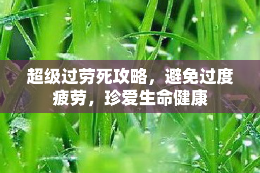 超级过劳死攻略图片