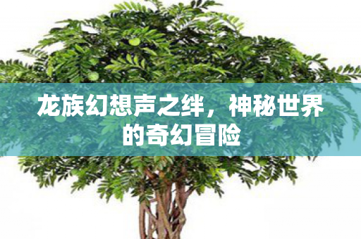 神秘世界的奇幻冒险图片