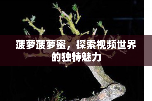 探索视频世界的独特魅力图片