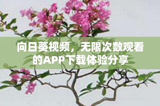 无限次数观看的APP下载体验分享图片