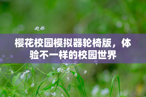 樱花校园模拟器轮椅版图片
