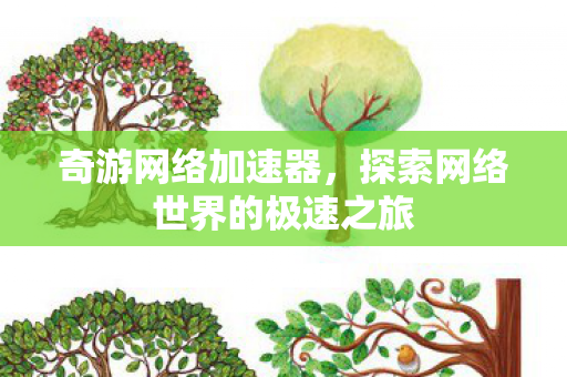 探索网络世界的极速之旅图片