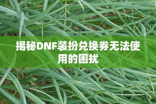 揭秘DNF装扮兑换券无法使用的困扰图片
